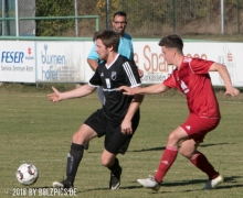 tsvrothaurach-svrednitzhembach2-013.jpg