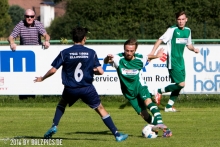 tsvrothaurach-tsg1893ellingen2-013.jpg