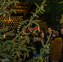 tsvrothaurach-Waldweihnacht2018-014.jpg