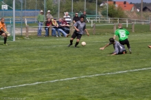 2.-TSV_R-TSV_G-85