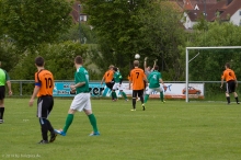 tsvwernfels-tsvr1-5