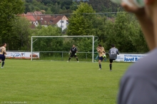 tsvwernfels-tsvr2-10
