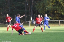 TV Eckersmühlen1 - TSV Rothaurach1