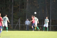 TV Eckersmühlen 2 - TSV Rothaurach 2