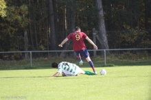 TV Eckersmühlen 2 - TSV Rothaurach 2