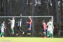 TV Eckersmühlen 2 - TSV Rothaurach 2